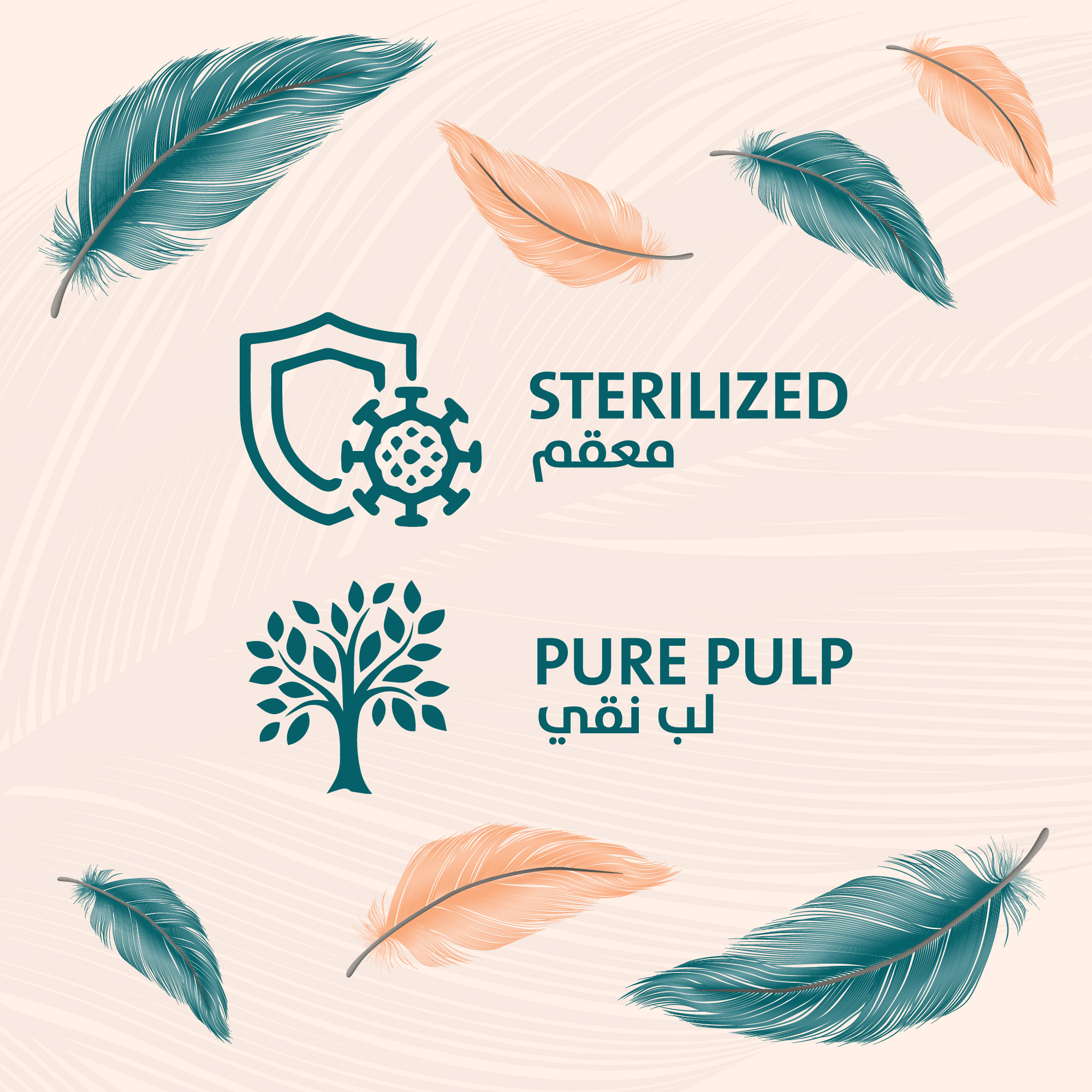 Papco Plume Pocket Tissue 10 Sheets 3 Ply 40 Pcs - Image 6